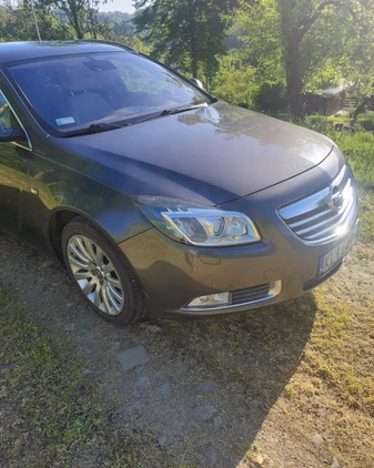 Opel Insignia cena 20400 przebieg: 249758, rok produkcji 2010 z Dolsk małe 121